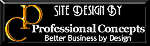 Professional Concepts